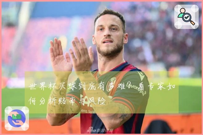 世界杯买球到底有多难？看专家如何分析赔率与风险