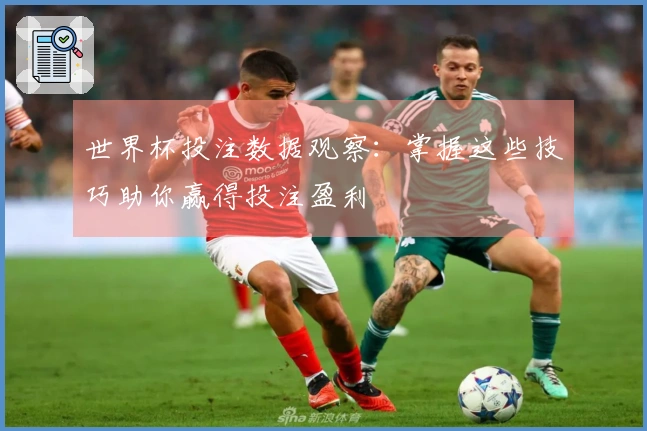 世界杯投注数据观察：掌握这些技巧助你赢得投注盈利