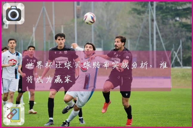 世界杯让球买球赔率实战分析，谁将成为赢家