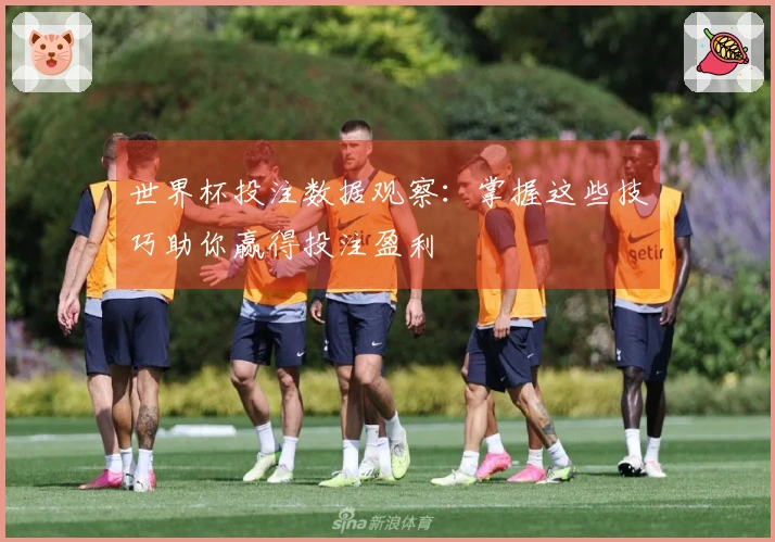 世界杯投注数据观察：掌握这些技巧助你赢得投注盈利