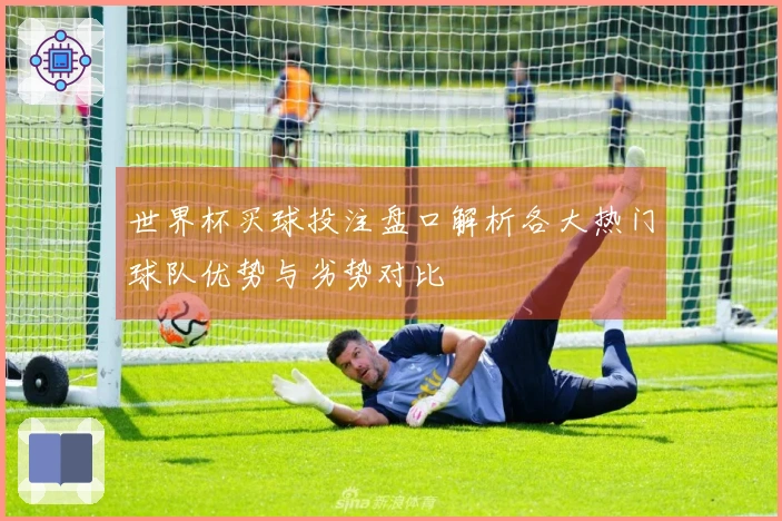 世界杯买球投注盘口解析各大热门球队优势与劣势对比