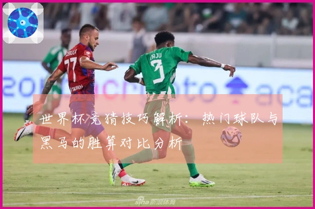 世界杯竞猜技巧解析：热门球队与黑马的胜算对比分析